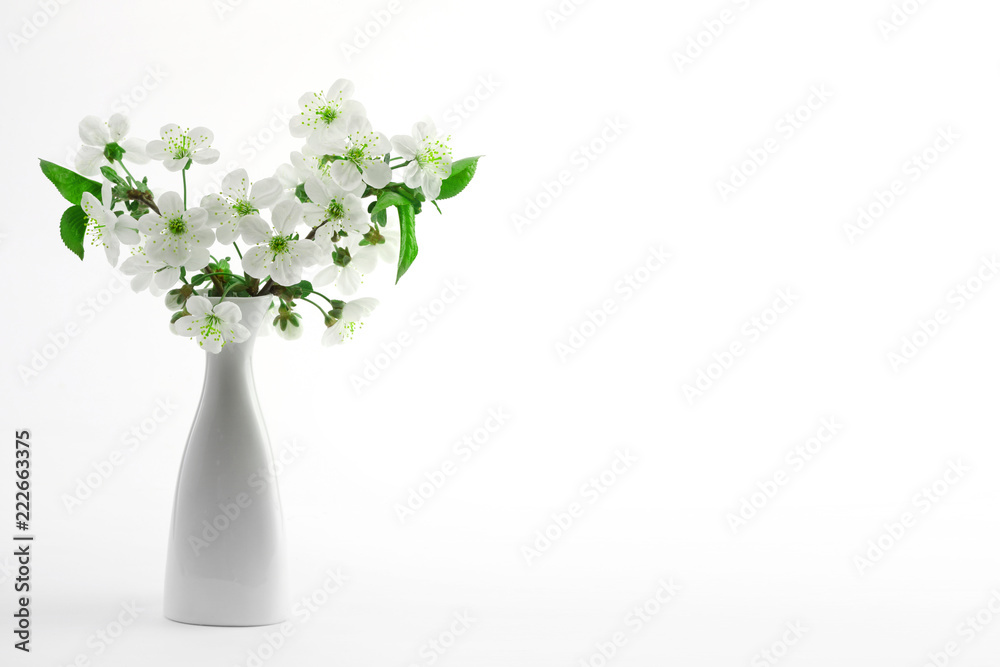 cherry twig in bloom in vase