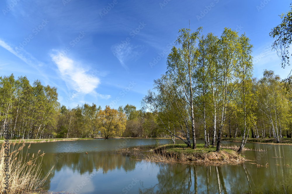 Spring landscape Spring landscape