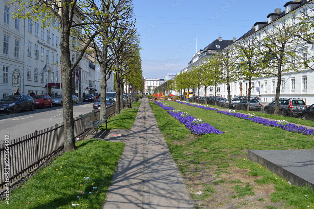 Fototapeta premium Kopenhagen flowers