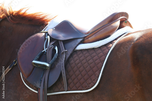 Sport horse close up under old leather saddle on dressage competition. Equestrian sport background. photo