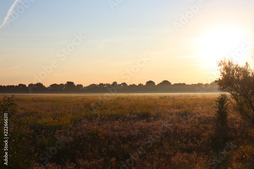 Dawn outside the city. Autumn begins. A huge sun rises over the yellowed grass. Morning mist