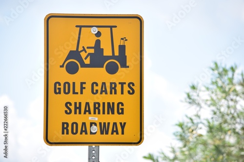 Golf Carts Sharing Road Way