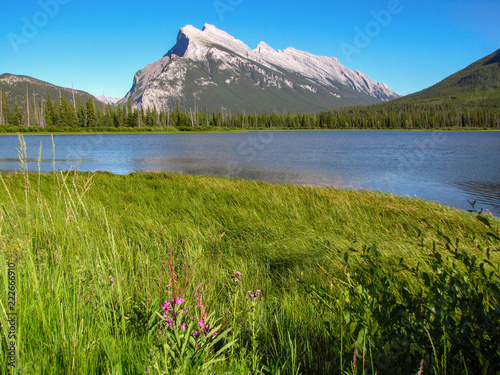 Tranquil Canadian landscape: green field, river and mountain, Alberta, Canada