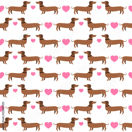Dachshunds with hearts seamless pattern  vector background