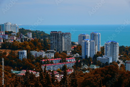 autumn city landscape in Sochi in Russia