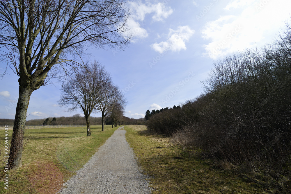 Herbstlandschaft, gerader Weg, Allee in freier Natur, Autumn landscape, straight path, avenue in the great outdoors Herbstlandschaft, gerader Weg, Allee in freier Natur, Autumn landscape, straight path, avenue in the great outdoors