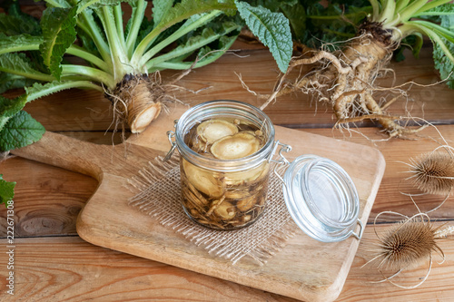 Preparation of alcohol tincture from wild teasel root in a jar photo