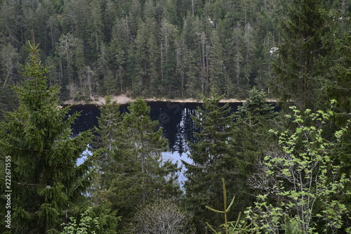 Wildsee, Deutschland, Baden-Württemberg