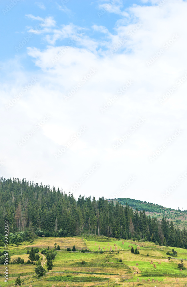 Forest on mountain against blue sky with clouds. Forest on mountain against blue sky with clouds.