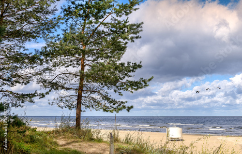 Autumnal coastal landscape in Jurmala, Latvia, Baltic region, Europe