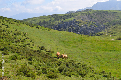  Paisejes de Montañas en Asturias España