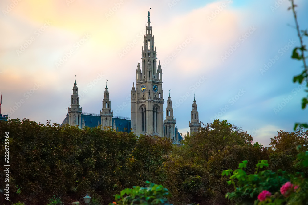 Blick auf das Rathaus in Wien 