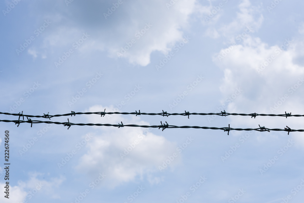 Barbed wire against cloudy blue sky - freedom, security, prison - isolated design element Barbed wire against cloudy blue sky - freedom, security, prison - isolated design element