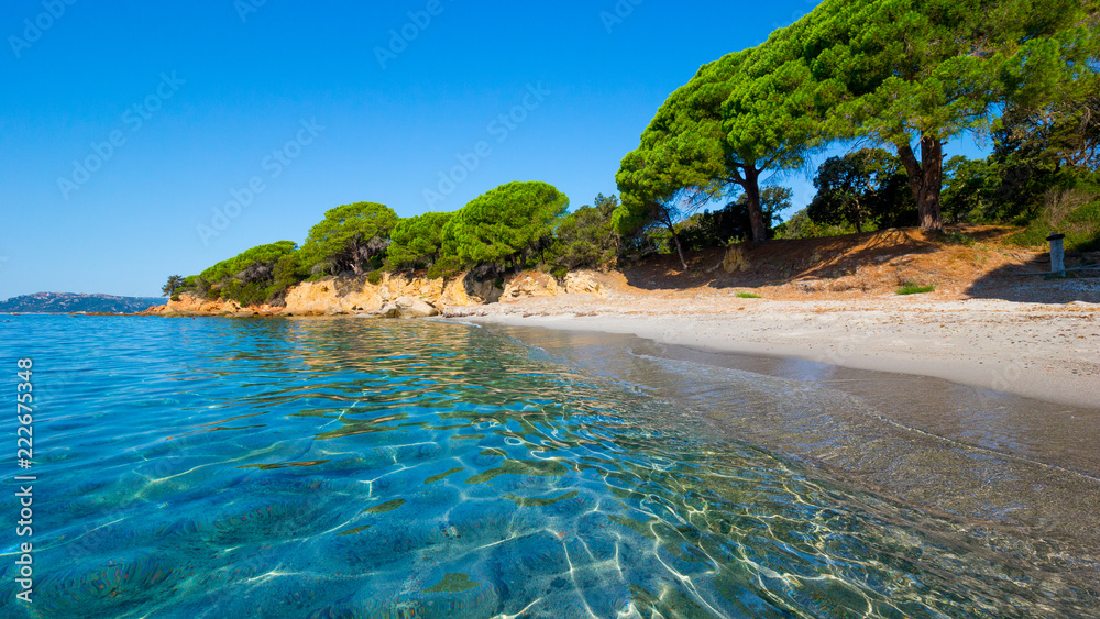 Obraz premium Sunrise at Plage de Palombaggia, Corsica, in summer