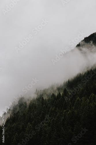 fog in mountains © Brendon