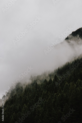 fog in mountains