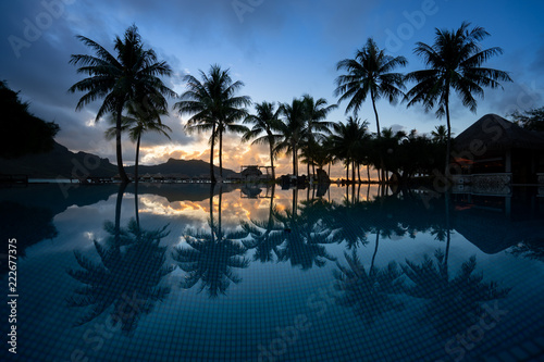 Coconut trees by the pool - Bora Bora, French Polynesia