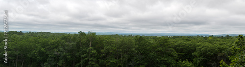 Panorama trees Michigan