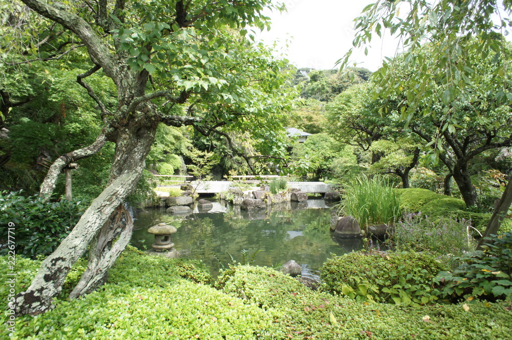 Japanese Garden