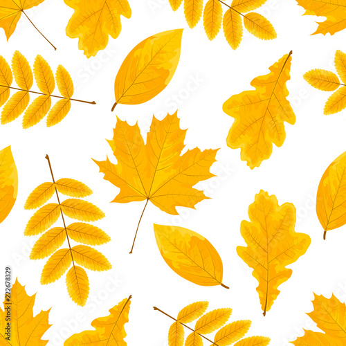 Yellow leaves pattern