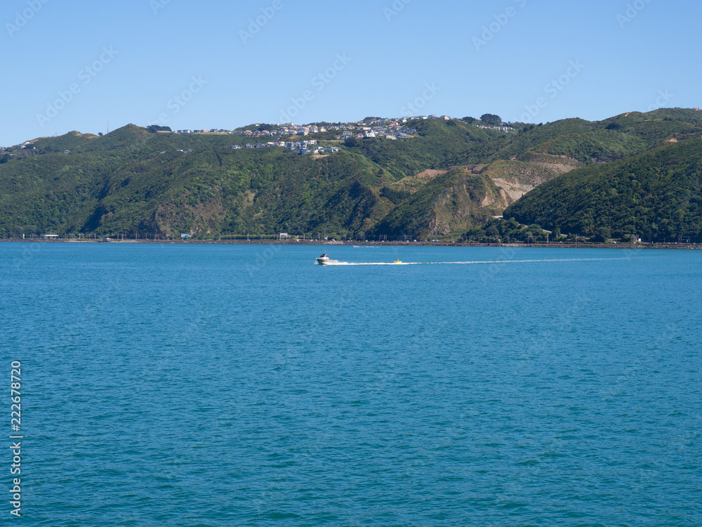 Speed Boat On Wellington Harbour