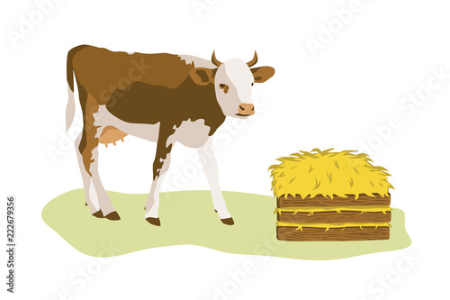 Cow or calf with stack of hay. Color flat vector illustration isolated on white background