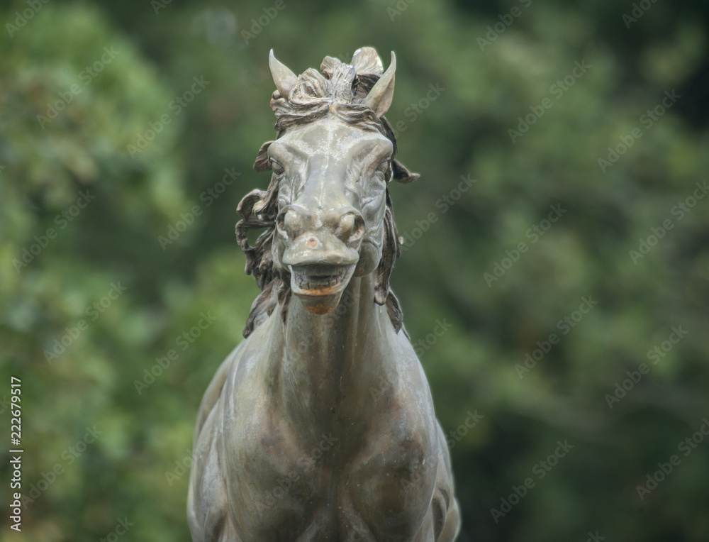 Cavallino Ranch