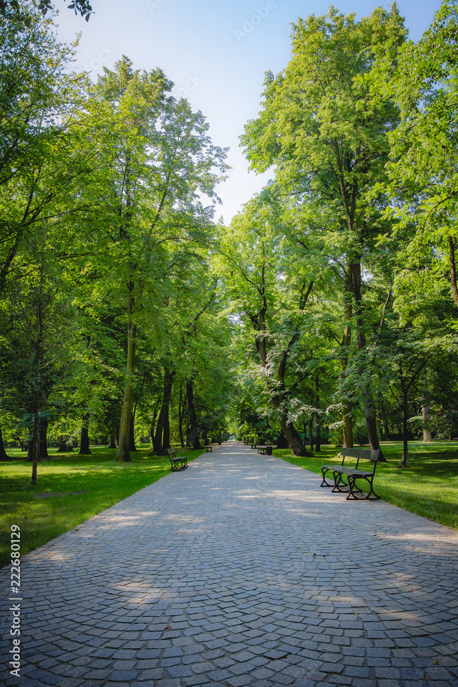 Beautiful alley with green trees in Lazienki Park at Warsaw Poland Beautiful alley with green trees in Lazienki Park at Warsaw Poland
