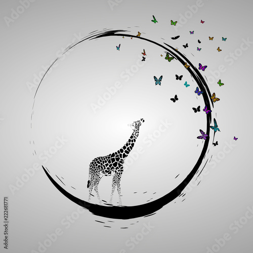 Canvas Print Silhouette of giraffe baby looking at butterflies
