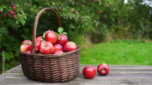 Organic red apples in a basket on the old table