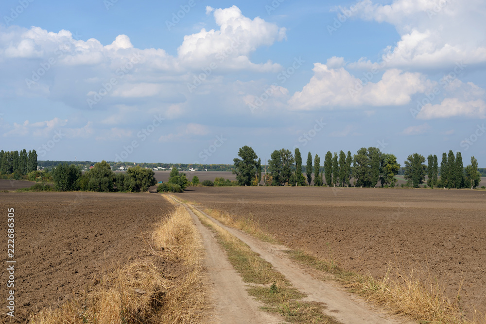 road near a plowed field