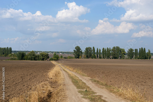Obraz na płótnie road near a plowed field w salonie