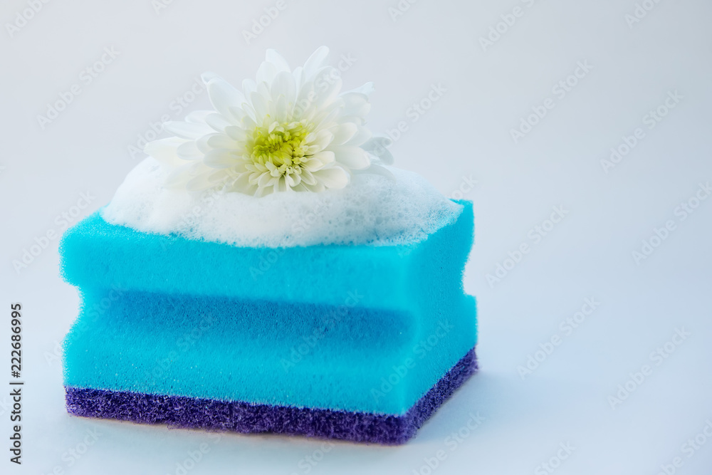 sponge for washing dishes with detergent sponge for washing dishes with detergent
