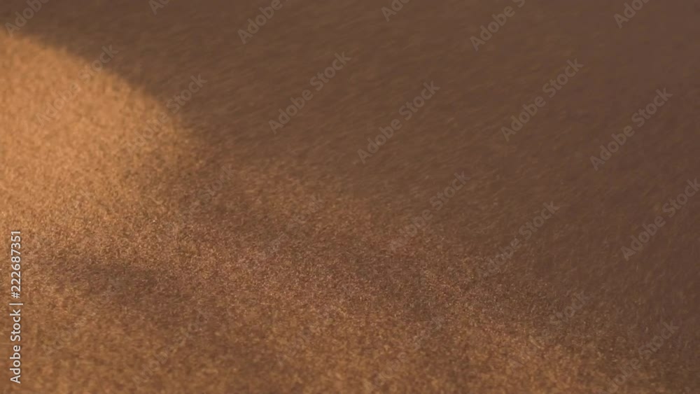 Closeup of Sand Blowing in the wind
