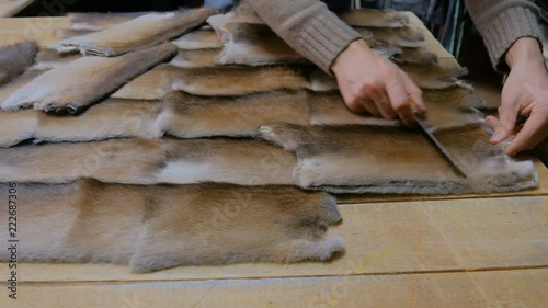 Professional male skinner, furrier matching colours of mink fur skin at atelier, workshop. Fashion and leatherwork concept