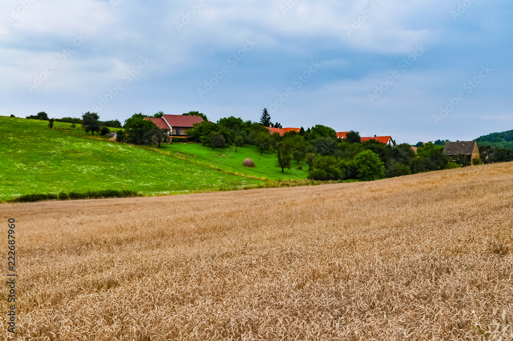 Fototapeta premium houses in the hills and fields
