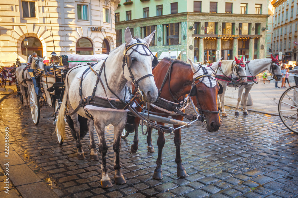Horse-drawn carriage or Fiaker, popular tourist attraction, on Michaelerplatz in Vienna, Austria