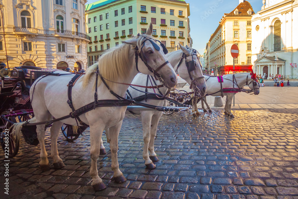 Horse-drawn carriage or Fiaker, popular tourist attraction, on Michaelerplatz in Vienna, Austria