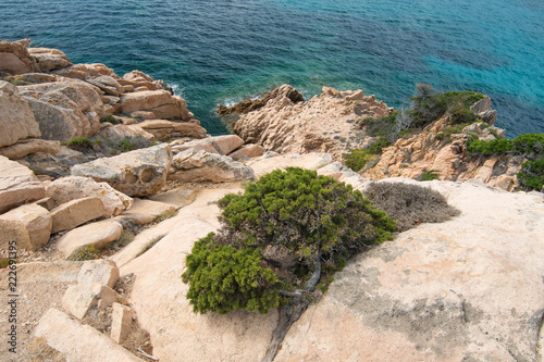 isola di spargi photo