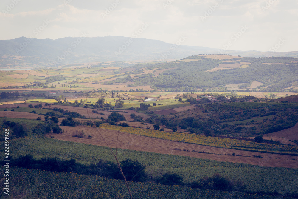 Naklejka premium field landscape