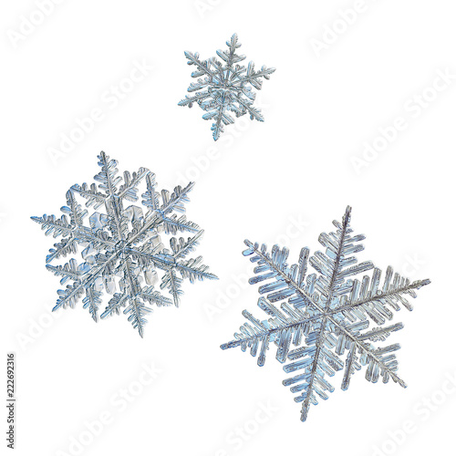 Konstfotografi Three snowflakes isolated on white background