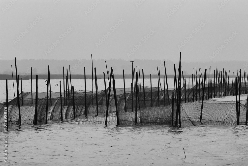Fishing nets piled on the lake, Poland around the city of Leba