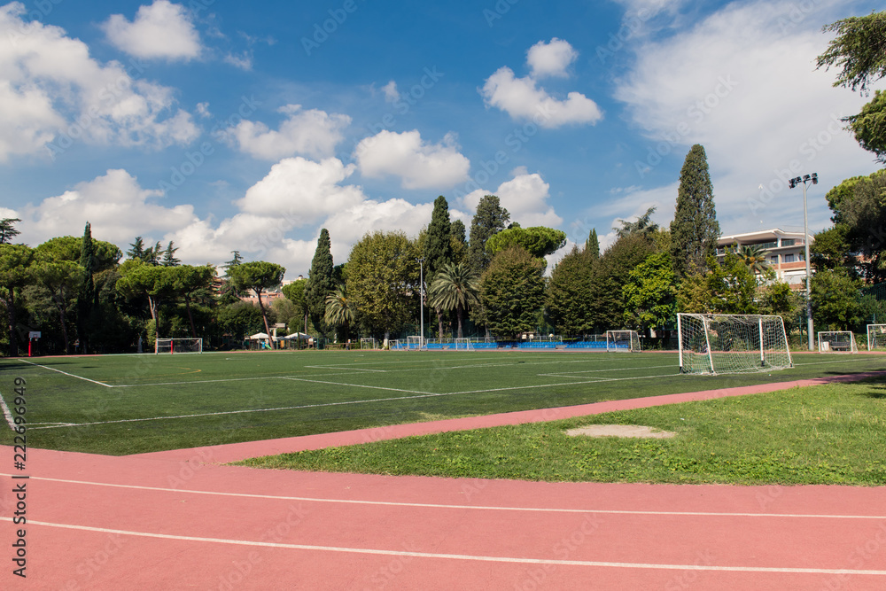 Football field wide shot in green park - obrazy, fototapety, plakaty 