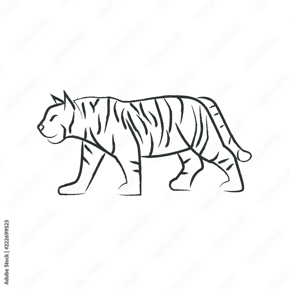 Outline draw tiger