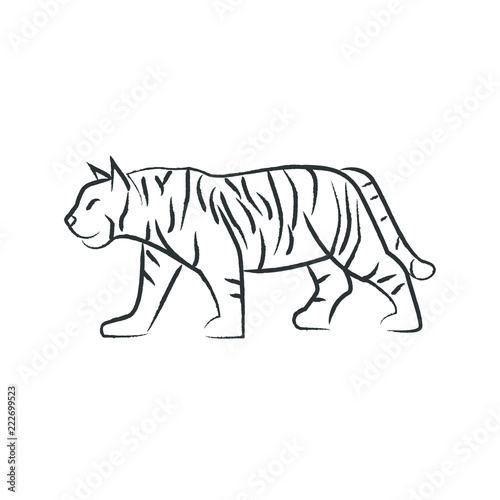 Outline draw tiger © DAVIDS