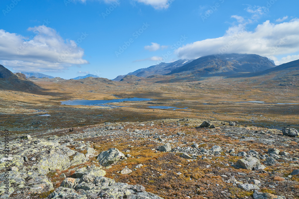 Arctic Vistas