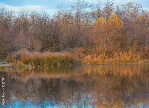 Morning on the river