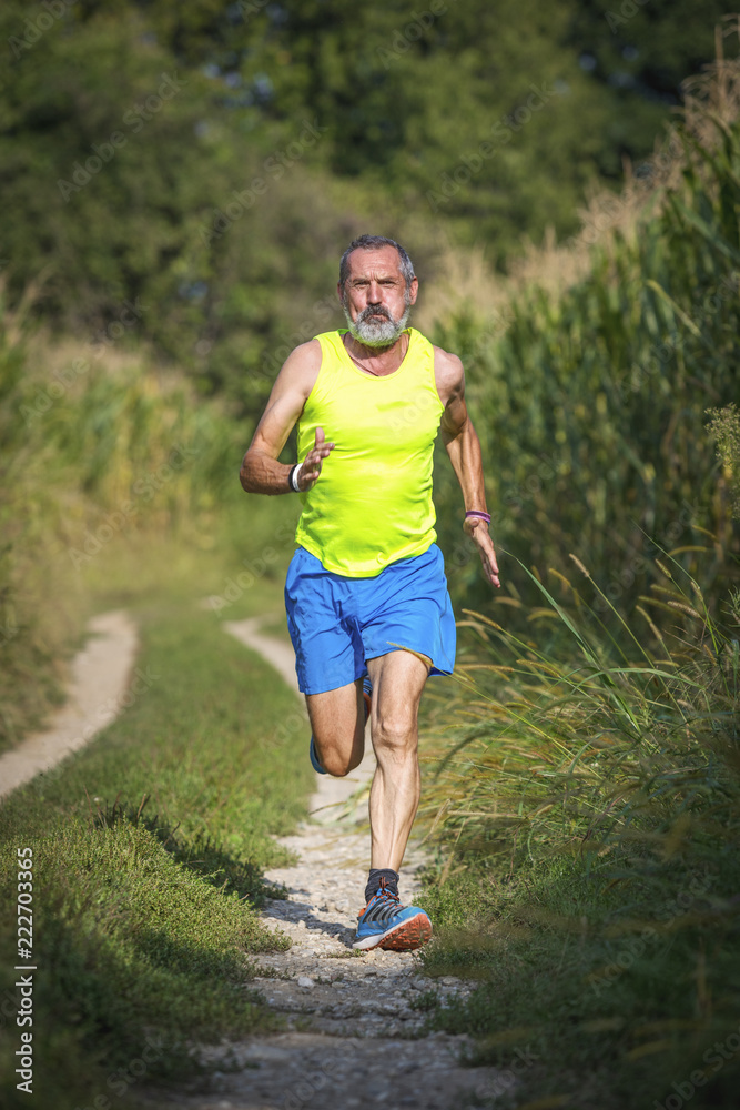 Runner in the countryside Runner in the countryside
