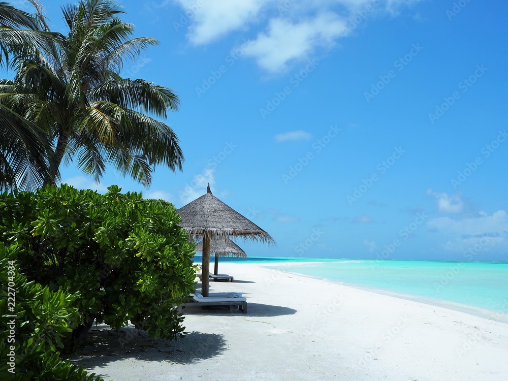 Fototapeta premium the beach in Maldives