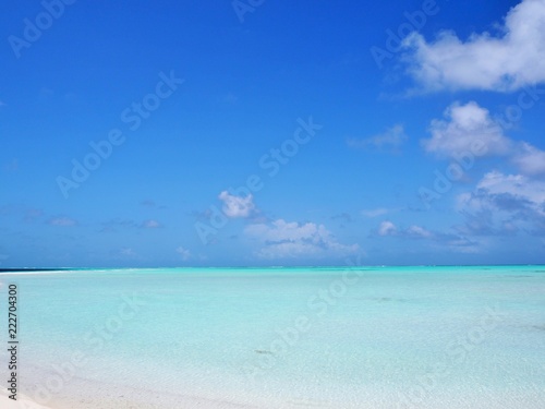 Fototapeta Naklejka Na Ścianę i Meble -  the beach in Maldives